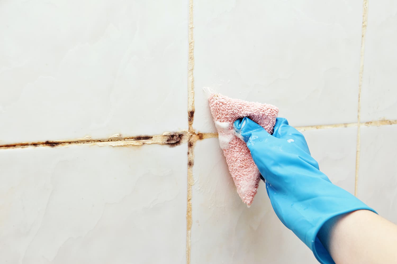 Difference Between Mildew and Mold and How to Get Rid of Them